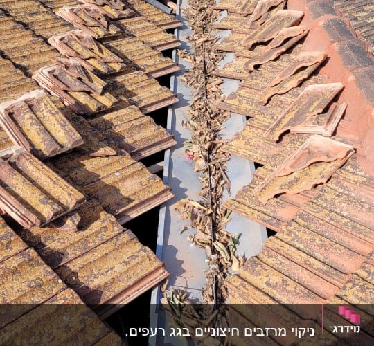 רעפים על גג עם עלים יבשים וכלי עבודה